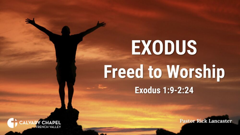 Freed to Worship – a verse-by-verse study of Exodus – Exodus 1:9-2:14 Image