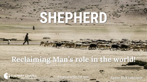 SHEPHERD: Reclaiming man’s role in the world!