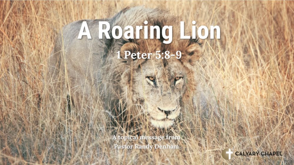 A Roaring Lion! 1 Peter 5:8-9 Image